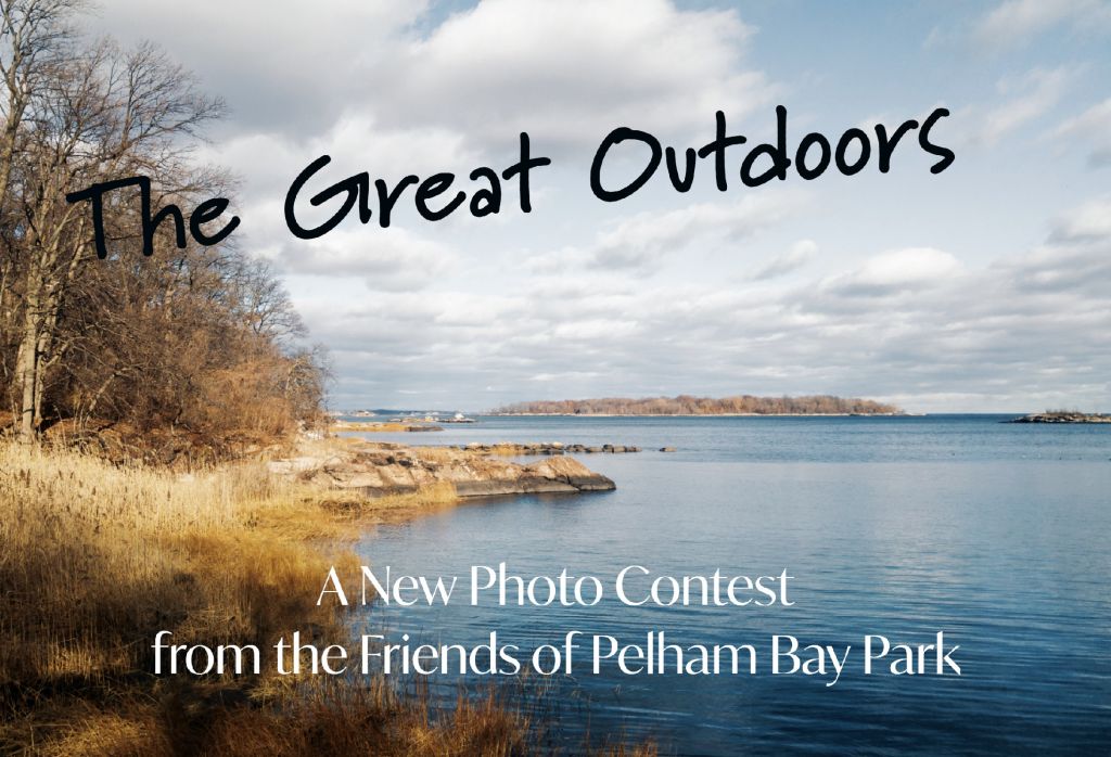 The Great Outdoors Photo Contest